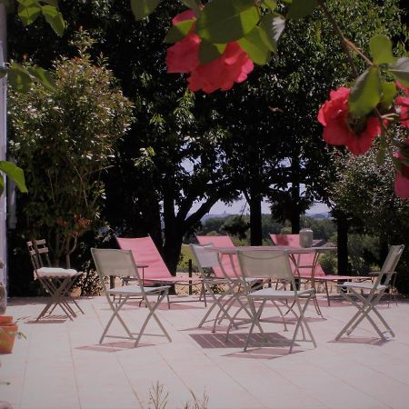 Bed and Breakfast La Chartreuse Larroque-Engalin Exterior foto